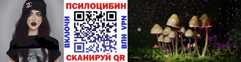 Псилоцибиновые грибы GOLDEN TEACHER  продажа наркотиков  Пыть-Ях 